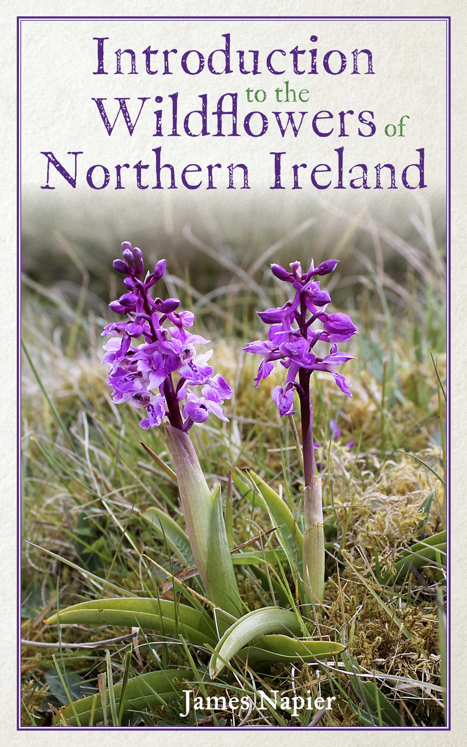 Colorpoint Book Introduction to the Wildflowers of Northern Ireland | Colourpoint Books