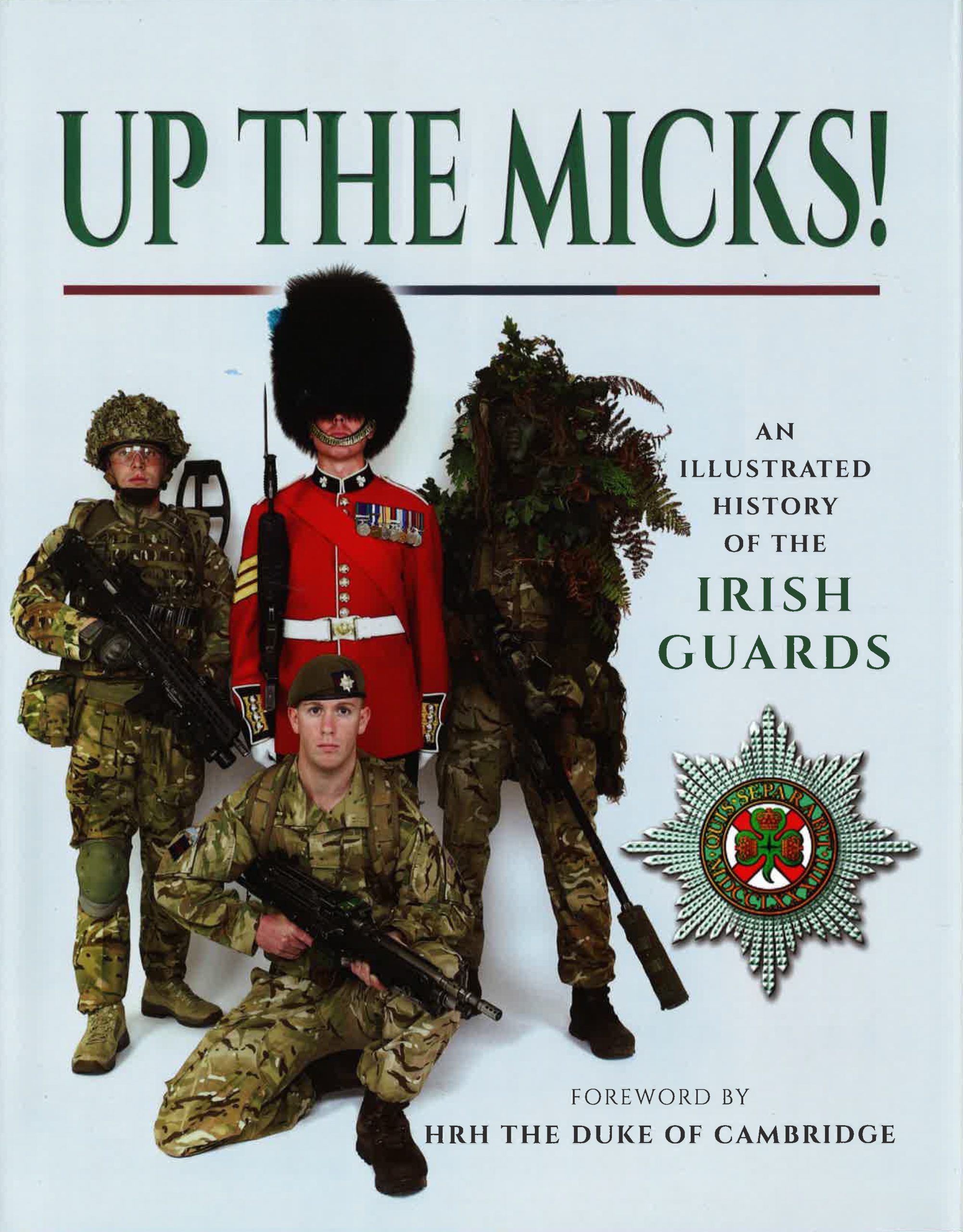Colorpoint Book Up the Micks! | Colourpoint Books